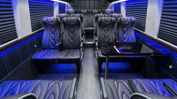 20 passenger sprinter van interior surprise