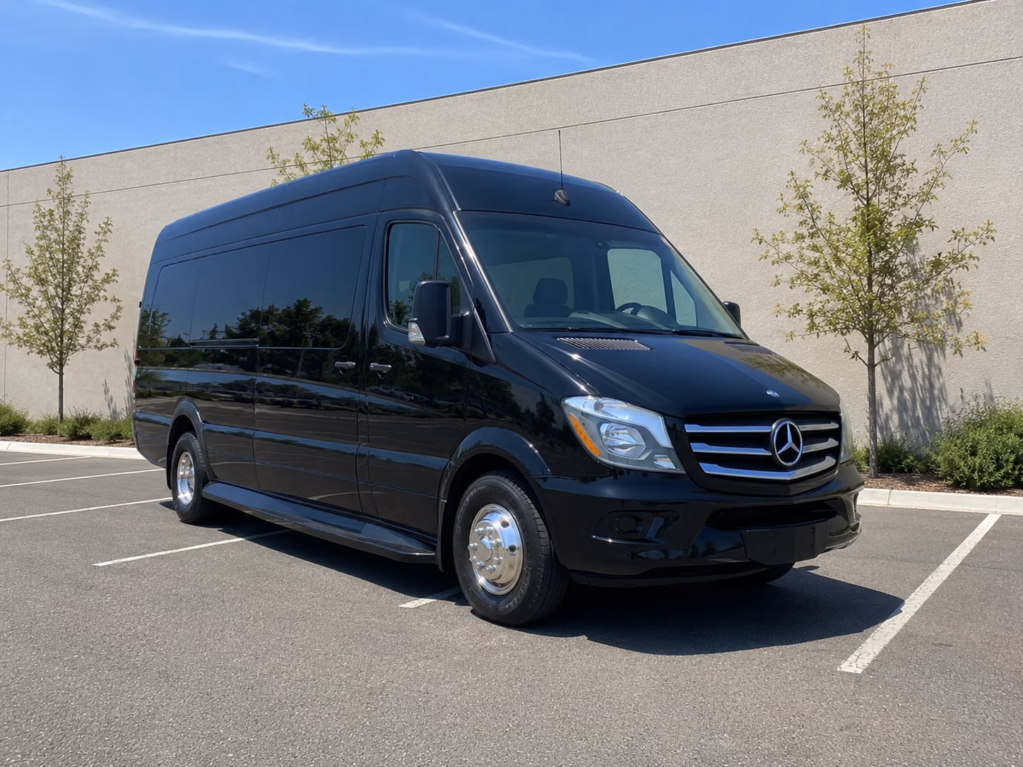 surprise wedding sprinter van rental